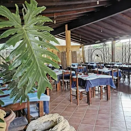 Campeggio Dell'uva